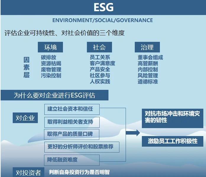 双碳战略咨询服务(双碳战略是什么意思)雅安市