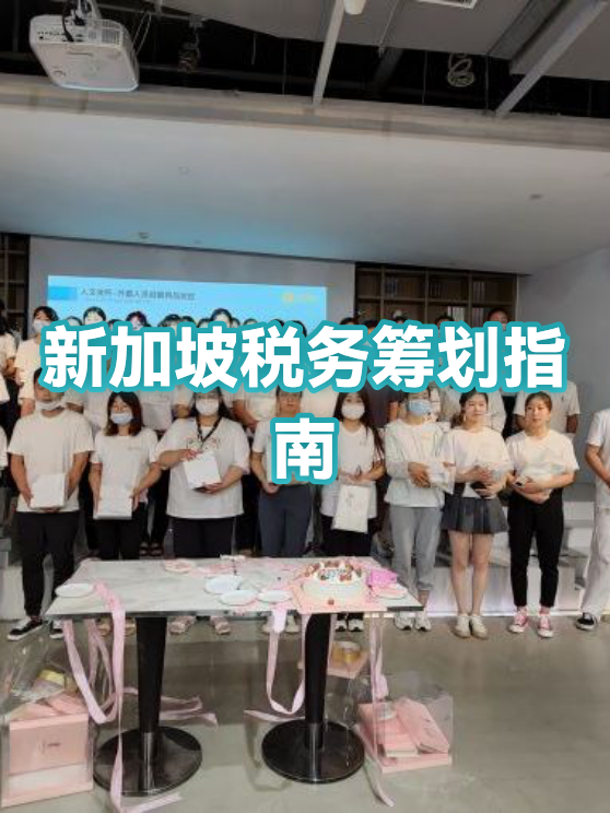 消费咨询税务筹划(消费税税务筹划)雅安市