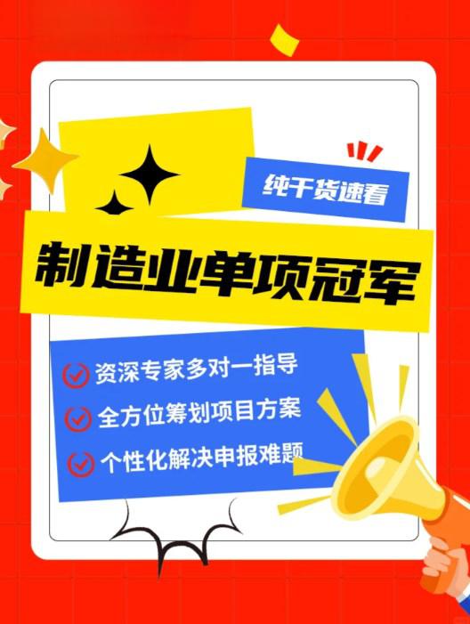 单项冠军申报辅导(单项冠军是什么意思)雅安市
