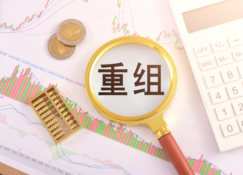 并购重组风险管理(企业并购重组风险案例)雅安市 并购重组风险管理(企业并购重组风险案例)雅安市