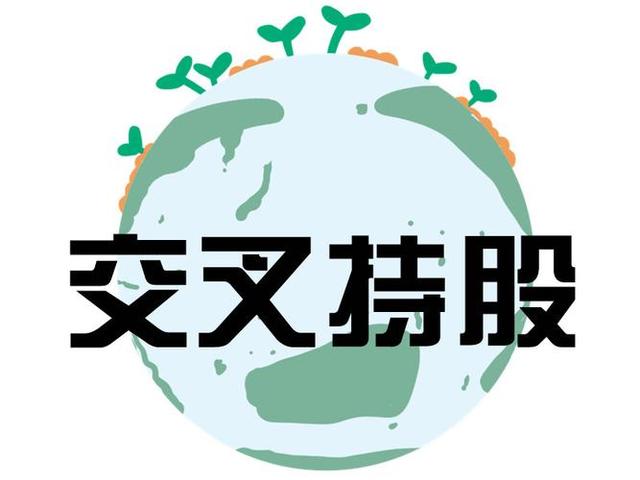 交叉持股安排设计(交叉持股怎么计算持股比例)雅安市
