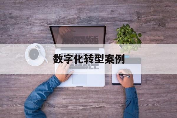 数字化转型案例(数字化转型案例公司)雅安市 数字化转型案例(数字化转型案例公司)雅安市