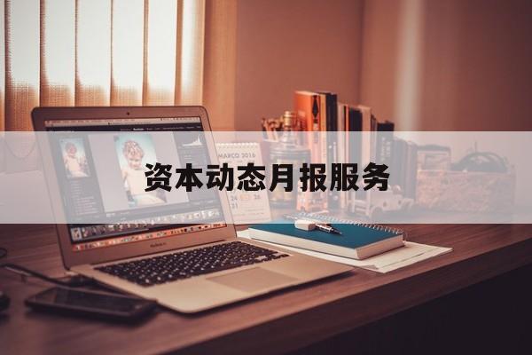 资本动态月报服务(资金月报表操作流程)雅安市