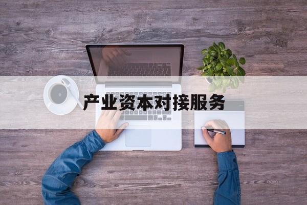 产业资本对接服务(产业资本对接服务包括哪些)雅安市 产业资本对接服务(产业资本对接服务包括哪些)雅安市