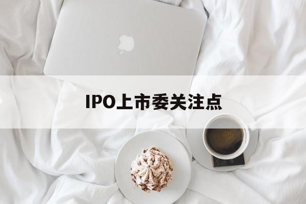IPO上市委关注点的简单介绍 IPO上市委关注点的简单介绍